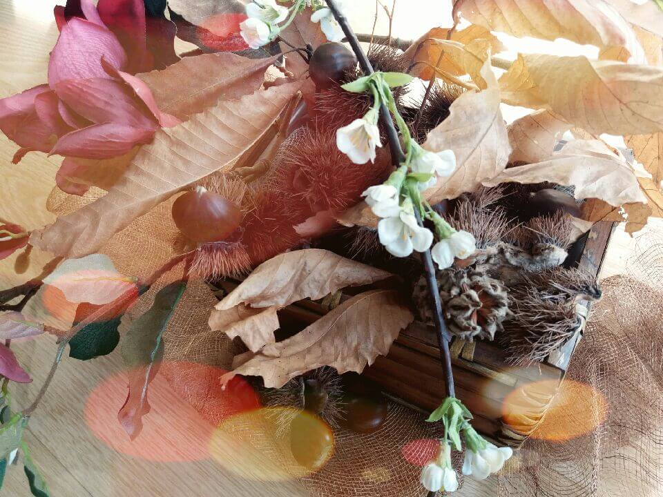 Experiência de Outono por terras transmontanas – Festa da castanha em Vinhais