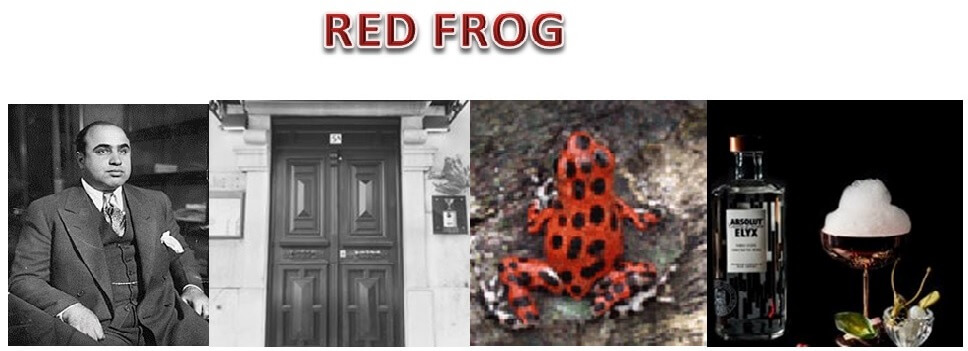 Red Frog, Um bar a visitar