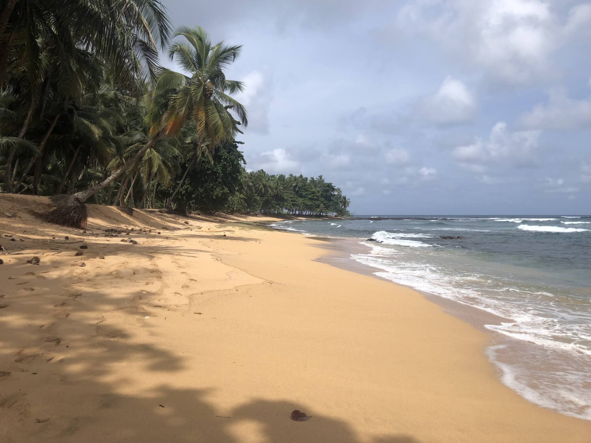 Inhame em São Tomé